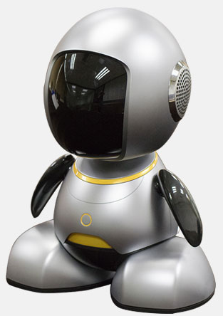 An appearance prototype of a custom HyProto robot